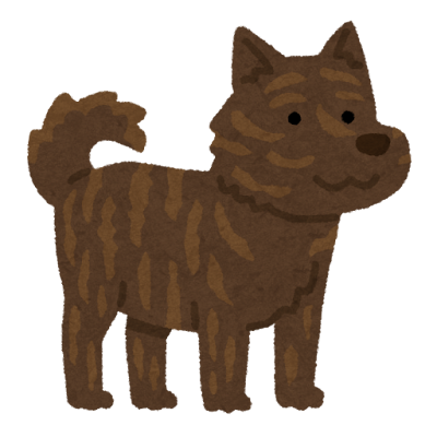 甲斐犬のイラスト