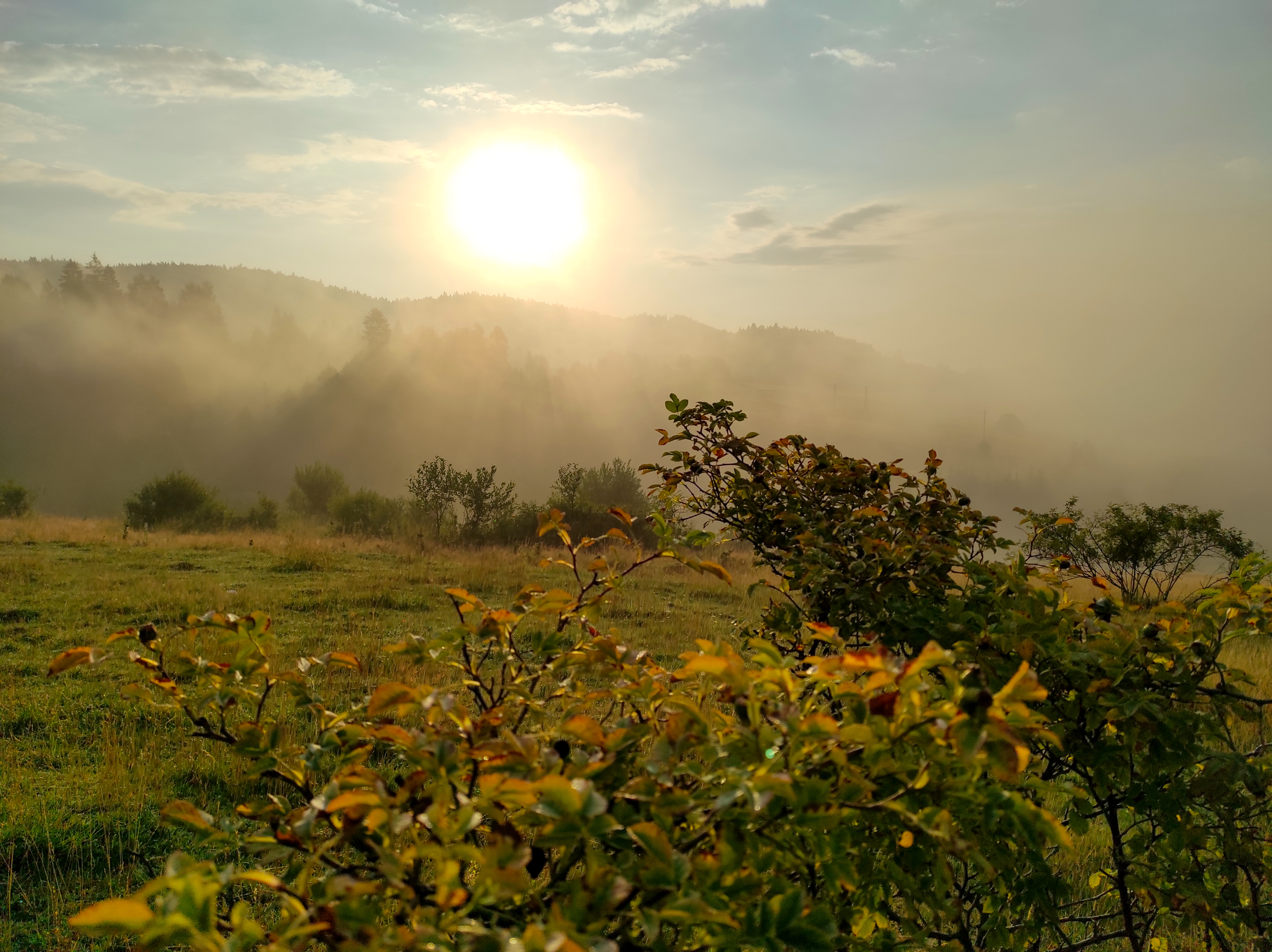 Wycieczka na Lubań (1211 m n. p.m) Gorce