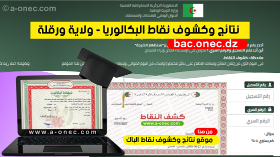 نتائج شهادة البكالوريا résultats du bac - مديرية التربية لولاية ورقلة - موقع نتائج البكالوريا - bac onec dz - وزارة التربية - كشوف نقاط البكالوريا - التسجيلات الجامعية - موقع الدراسة الجزائري - موقع البكالوريا في الجزائر جميع الشعب - مدونة التربية والتعليم