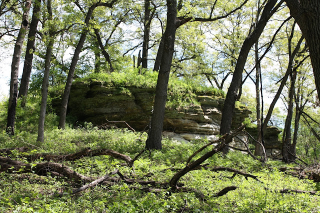 Tabular sandstone formation at Nachusa Grasslands in Illinois