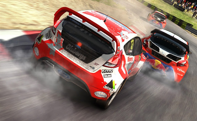 Dirt Rally PC Game Download Photo