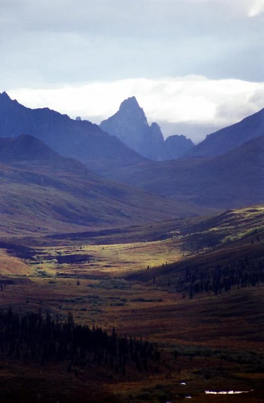 Tombstone Territorial Park