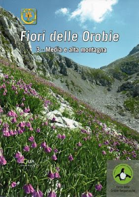 Fiori delle Orobie series. 3. Media e alta montagna.