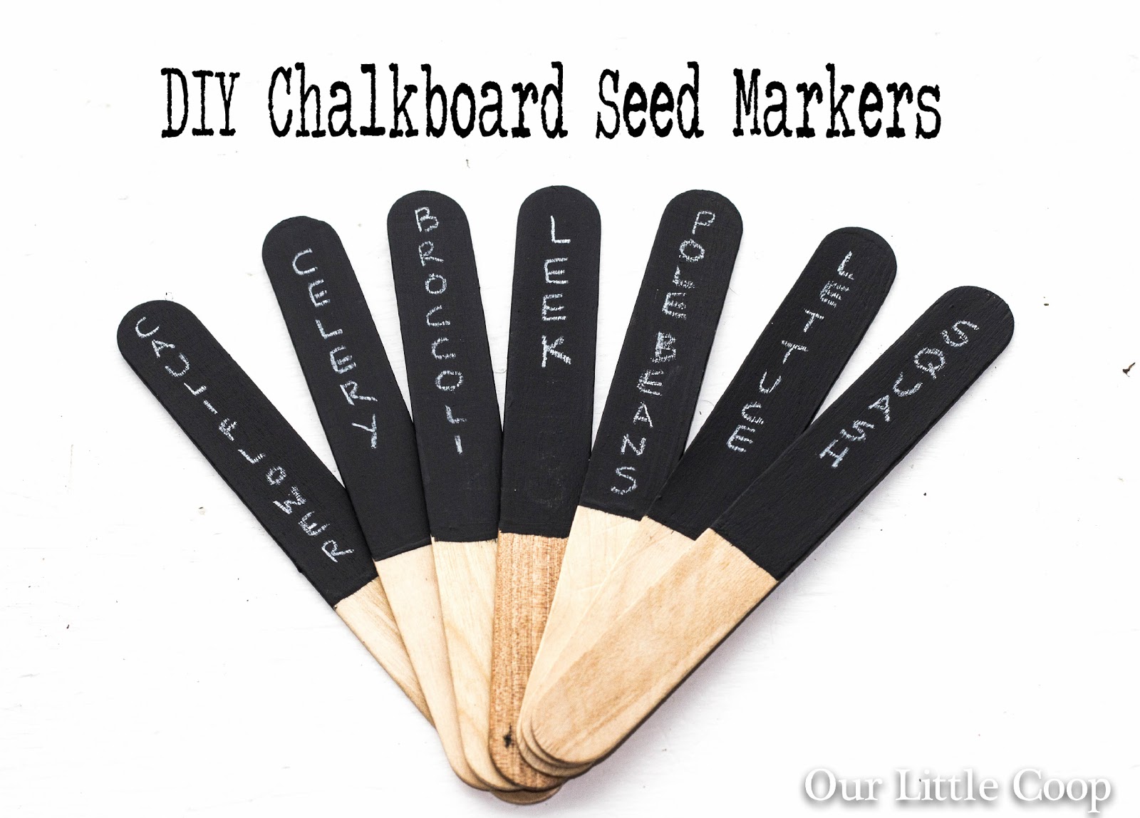 DIY+Chalkboard+Seed+Markers