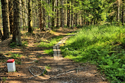 Hiking Loop around Złatna - Yellow Route