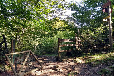 Langa camino al Pto. Bikuña