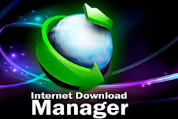 Internet Download Manager 6.30 Build 2 Full