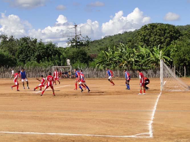 Resultado de imagem para açude saco copa do tomate