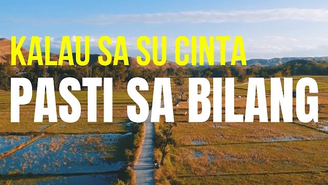 Lirik Lagu Pasti Sa Bilang – Near Feat. Dian Sorowea