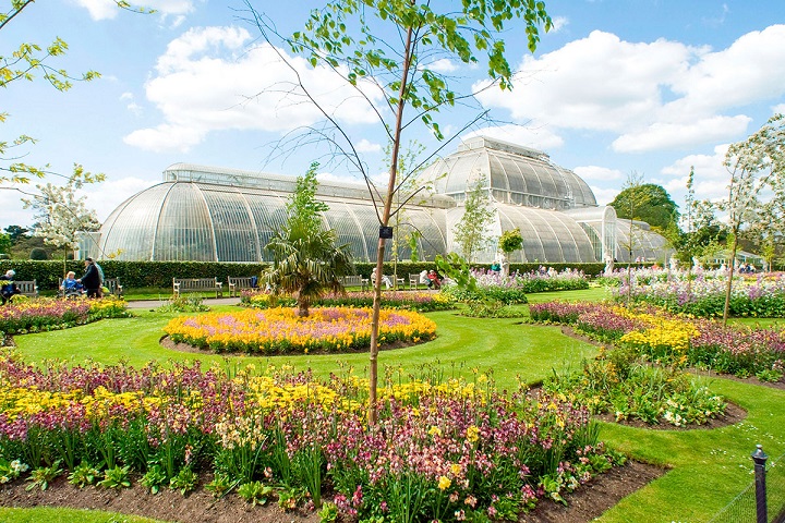 Kew Garden, Tempat Koleksi Tumbuhan Terbesar di Dunia