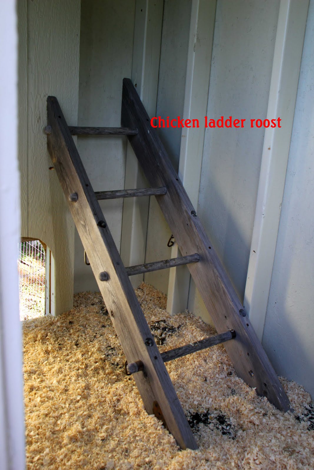 Chicken Coop Roosting Bars Designs for chicken roosts ~ coop and plan