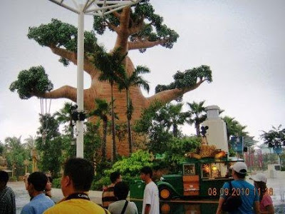 Huge Tree Structure at Universal Studios, Singapore