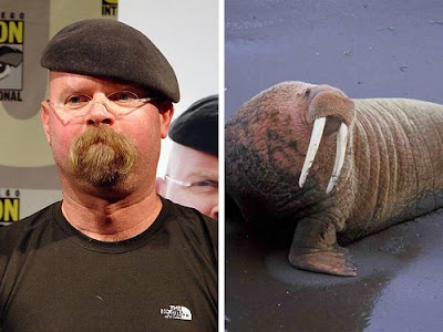 The Mythbusters guy is probably one of the most obvious examples 