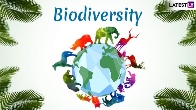 Importance of Biodiversity: जैवविविधतेचे महत्त्व 