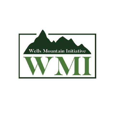 2024 Wells Mountain Initiative Scholars Program