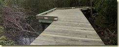 DSCN0884_stitch