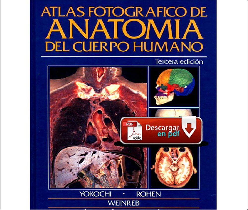 Agarrar paso Habitar Atlas Fotográfico de Anatomía del cuerpo humano - Atlas en PDF - OdontoVida