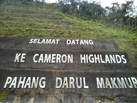 Cameron Highland, Pahang