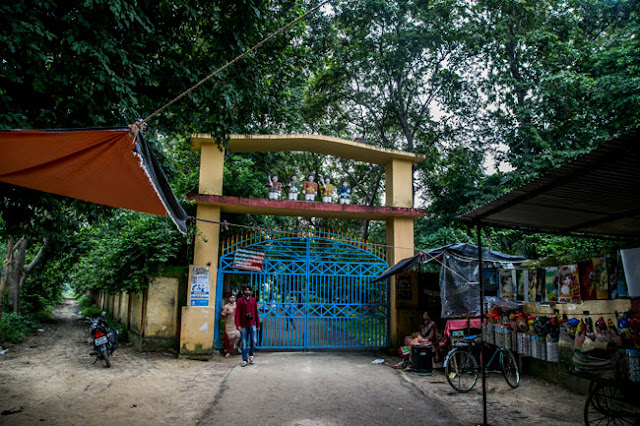 parijat parijaat tree barabanki kalpavriksha