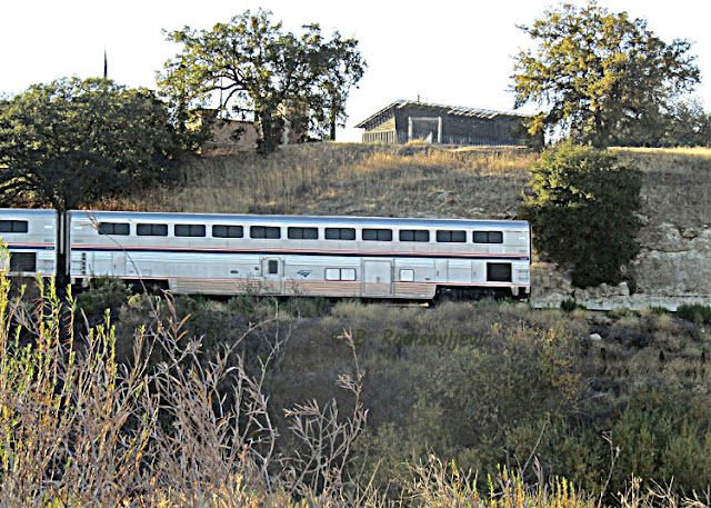 "Larry" Moore Park in Paso Robles: A Photographic Review - Amtrak Train Seen from Park