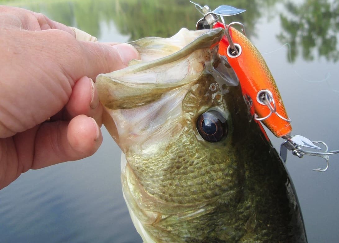 West Neck Creek Ramblings: I'm No Purist When It Comes to Old Fishing Lures