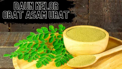 Daun kelor untuk asam urat