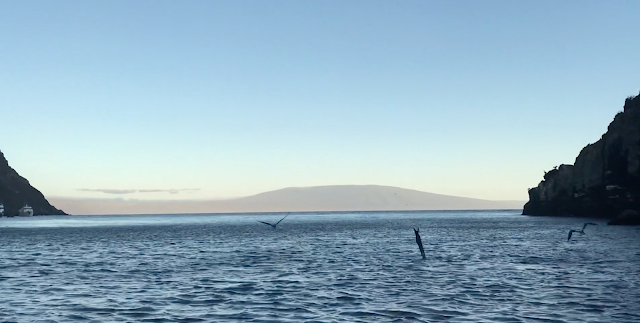 Punta Vicente Roca, Isla Isabela, Islas Galápagos