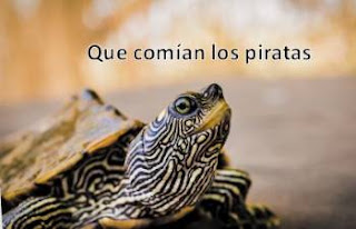 que comian los piratas