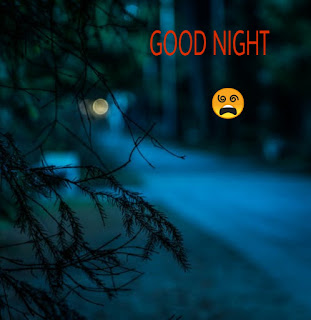 good night in hindi