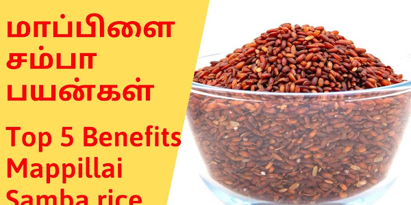 Mappillai samba rice benefits in tamil- மாப்பிள்ளை சம்பா சாவல்: ஸ்வஸ்திய லாபம்