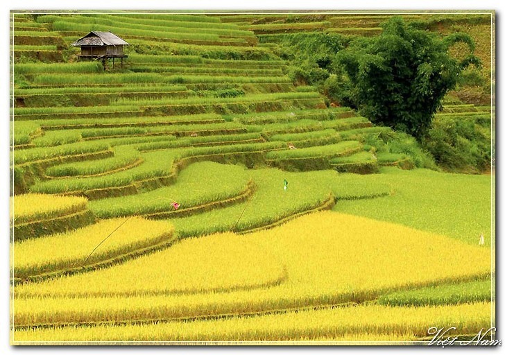 MG_216433333333333333