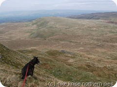 fells end