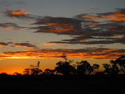 Yet the best sighting of the evening was the glorious sunset. (sunset night ride kruger np mpumalanga za )