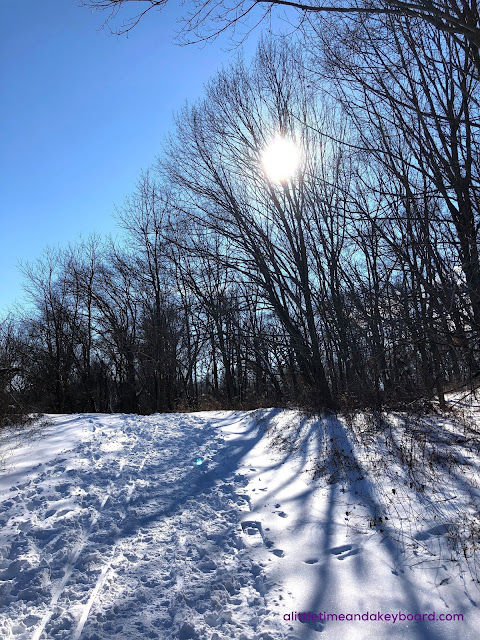 Hiking up a hill at Burnridge Forest Preserve.