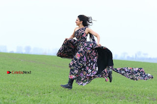Actress Rakul Preet Singh Stills in Winner Movie  0001.jpg