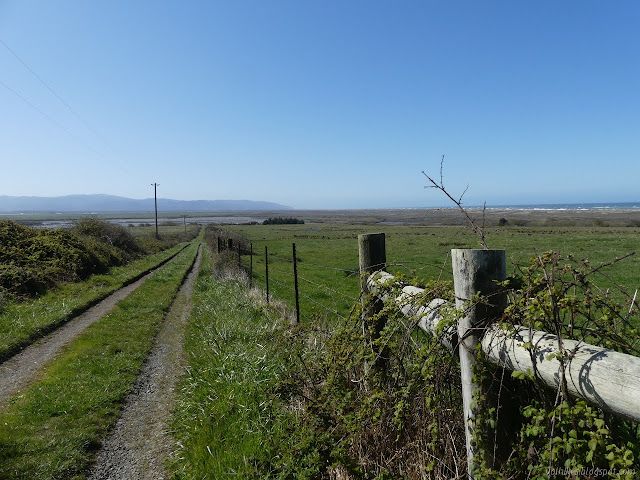 road beside fencing