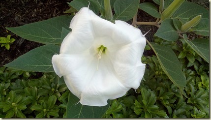 2013-08-11_06-56-39_65