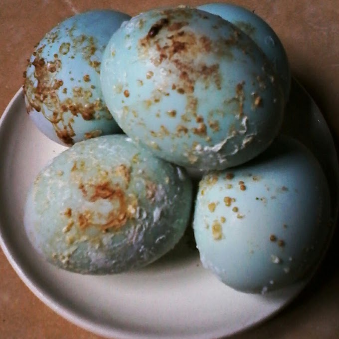 Telur Asin Panggang (Oven)