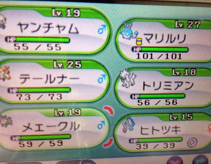 ポケモンxy日記 第二回 まだバッジ１個なんだが すだんろへしぱ もこうのブログ