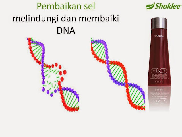 vivix, vivix shaklee, sel manusia, vivix rawat kanser, rawatan kencing manis, rawatan diabetes, vivix tonik ajaib, keistimewaan vivix, shaklee melaka, vivix melaka, shaklee masjid tanah