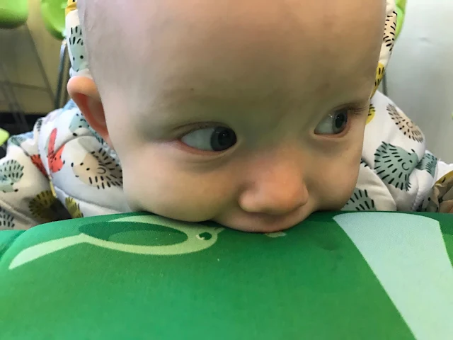 A close up of a baby in a hedgehog coat sucking the bibetta placemat