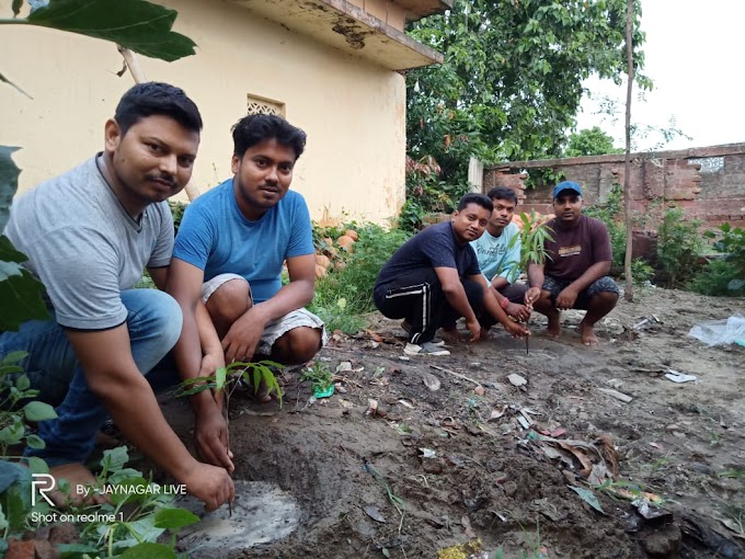 जयनगर के समाजसेवी युवाओ ने किया वृक्षारोपण, कहा प्रकृति बचाना हमारा कर्तव्य.