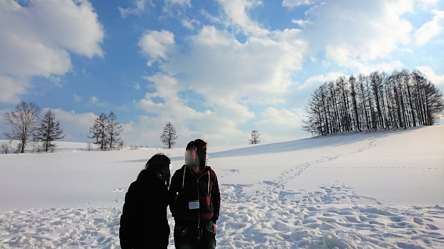 北海道 美瑛 パッチワークの路 ガイドさんのお気に入りスポット