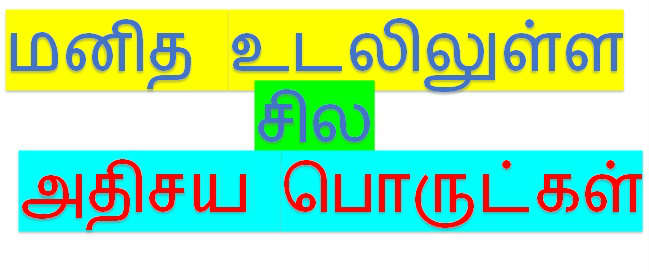 மனித உடலில் உள்ள சில அதிசய பொருட்கள்