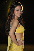 Aksha pardasany latest hot pics-thumbnail-4