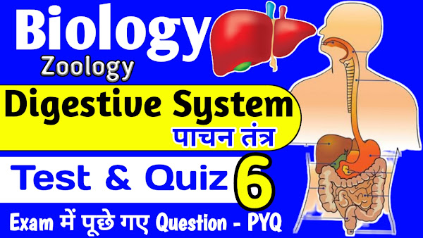 Digestive System Liver Test 