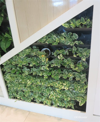 pots in a plant wall