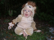 Ferocious little Lion .. grrrr!