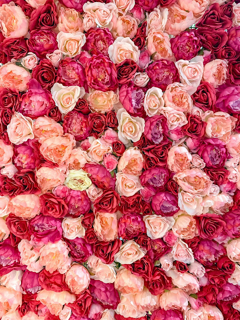 many roses in varying shades of pink