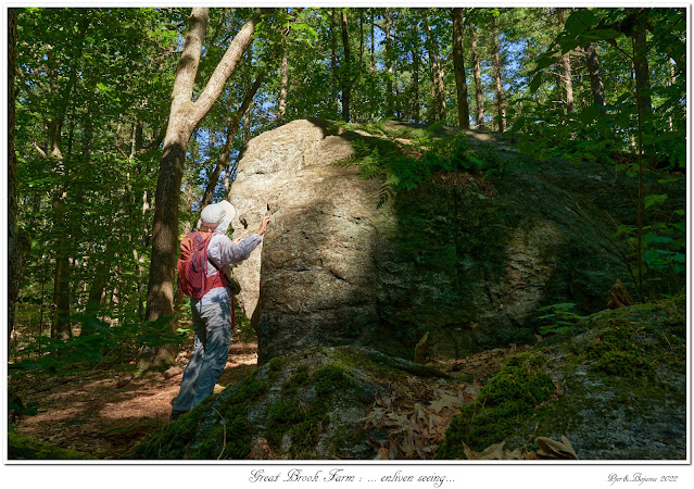 Great Brook Farm: ... enliven seeing...